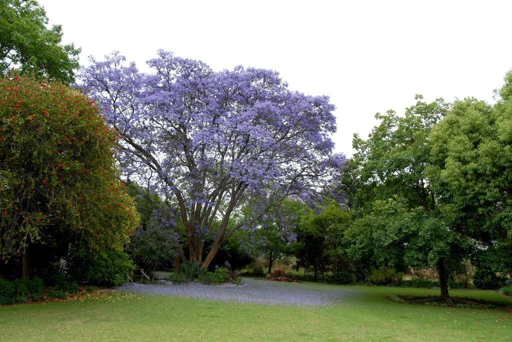 Longtom Farm Guesthouse Lydenburg Exterior photo